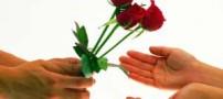 چرا زمان میزان میل جنسی را کاهش می دهد؟