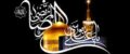 اشعار شهادت امام رضا (ع)