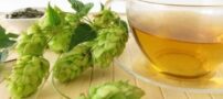 22 مورد از بهترین نوشیدنی ها مخصوص لاغری و تناسب اندام