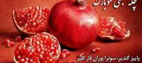 اس ام اس جدید تبریک شب یلدا (4)