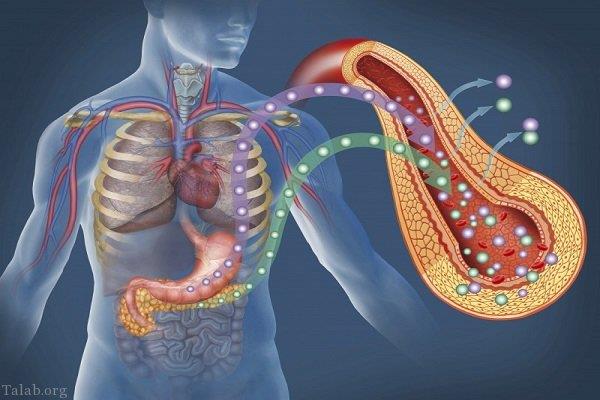 توصیه هایی برای پیشگیری از بیماری دیابت