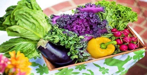 کدام مواد غذایی برای سلامت بدن بسیار مفید هستند؟