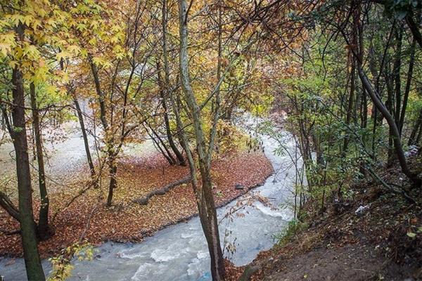 کردان کجاست؟ هر آنچه لازم است درباره کردان کرج بدانید