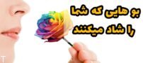 بو هایی که شما را شاد میکنند (سرحال و پر انرژی)