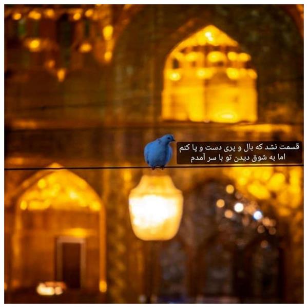 متن اس ام اس تسلیت شهادت امام رضا (ع) + عکس نوشته شهادت امام رضا (ع)