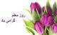 گلچینی از متن تبریک روز معلم (شعر + جملات کوتاه)
