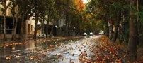 سرگرمی های جذاب برای شب های طولانی پاییز