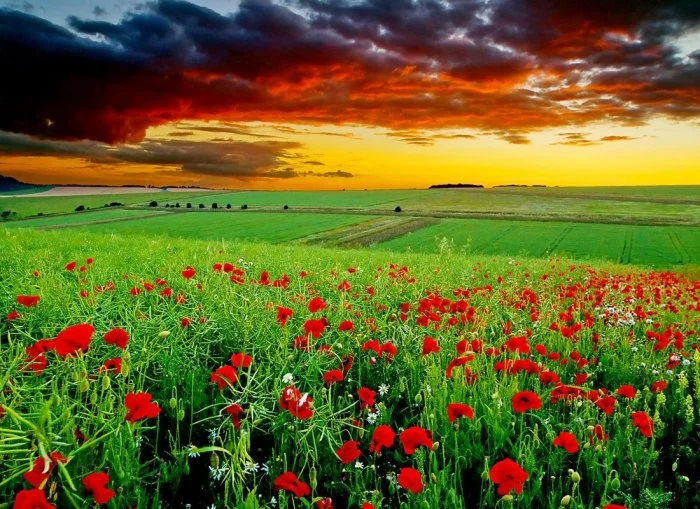 چرا ایران کشوری چهار فصل است ؟