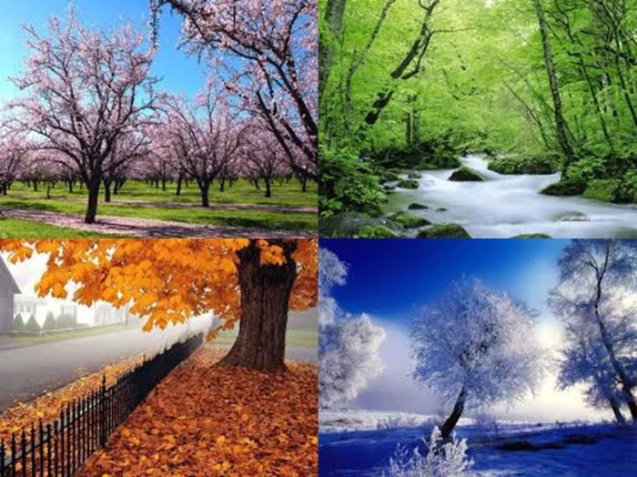 چرا ایران کشوری چهار فصل است ؟