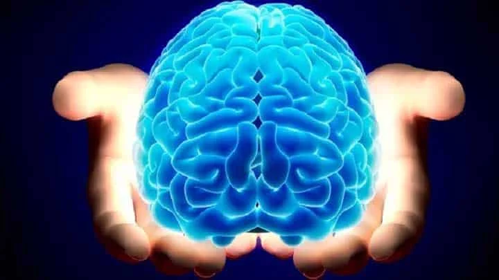 علائم سکته مغزی چیست ؟