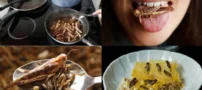 عجیب‌ ترین غذاها در کشورهای مختلف جهان