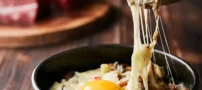 انواع پنیر برای آشپزی که غذای شما را به یاد ماندنی می‌کند