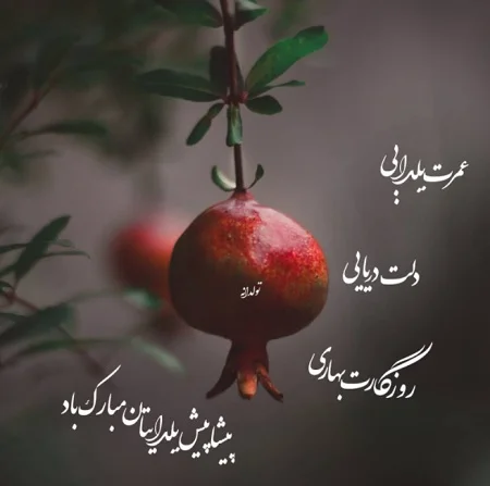 تبریک های زیبا و خاص برای شب یلدا